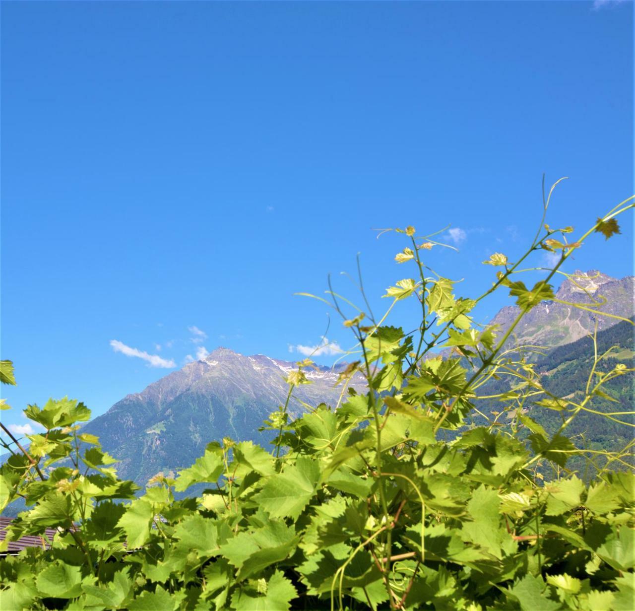 Villa Residence Franziskus Tirol Buitenkant foto